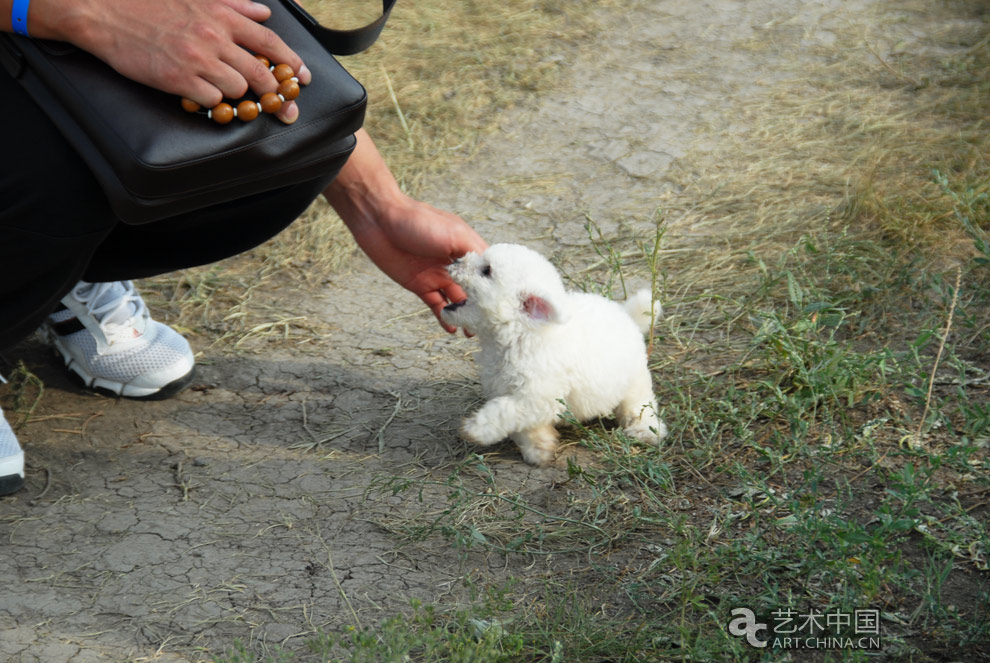 第二届（2010）张北草原音乐节,第二届张北草原音乐节,2010张北草原音乐节,第2届张北草原音乐节,张北草原音乐节,张北草原音乐节现场,张北草原音乐节视频,2010张北草原音乐节视频,张北草原音乐节开幕,2010张北草原音乐节开幕,张北草原音乐节开幕